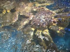 -蟹之国·精品蟹料理(极地店)