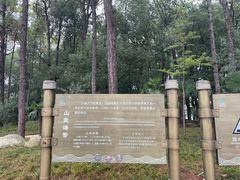 -东湖落雁景区