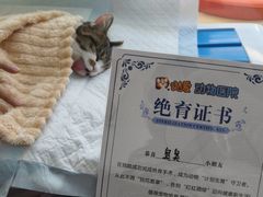 -达爱动物医院·犬猫分区·CT·复杂眼科(远洋山水分院)
