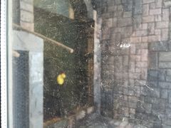 -北京美神宫艺术主题温泉酒店