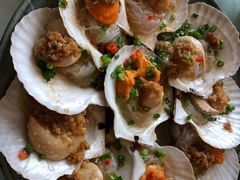 蒜蓉粉丝扇贝-青年公社烤鸭(青年路店)