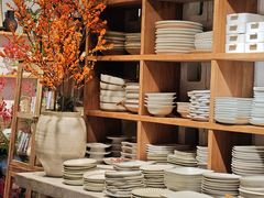 -自由生长植物工作室(深港花卉中心店)