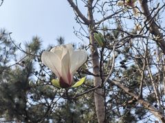 -大钟寺古钟博物馆