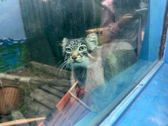 -青藏高原野生动物园