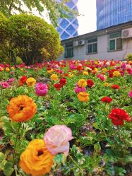 -大望京儿童游乐场