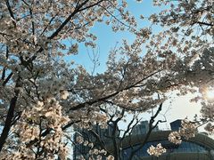-龙美术馆(西岸馆)
