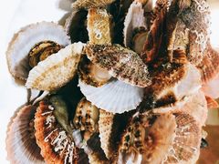 水煮扇贝-抹直口特色菜馆(一店)