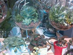 android_upload_pic-blt精品超市(杭州城西银泰店)