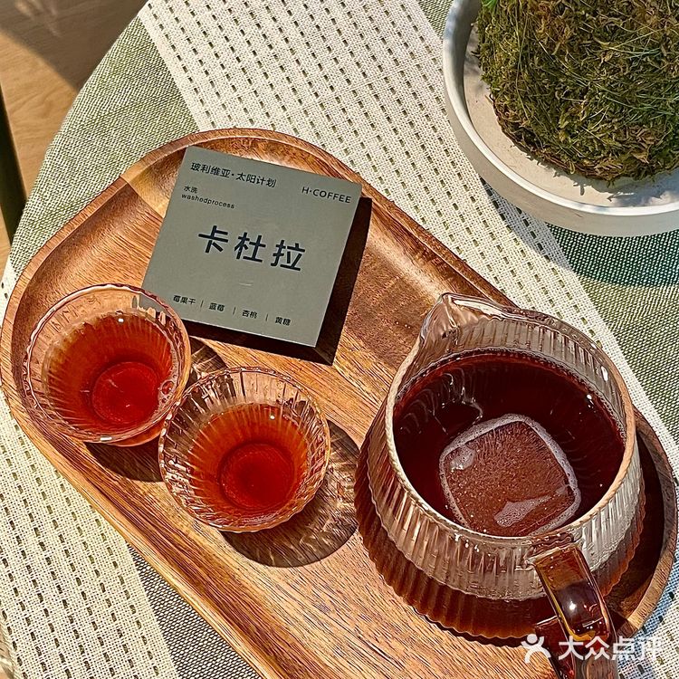 在肇庆！喝到人生手冲🥹环境敲sofu