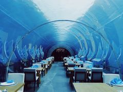 -海棠湾洲际-涛·海底餐厅·美人鱼·自助餐·海底隧道