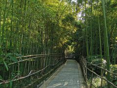 -龙头寺公园