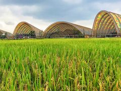 -中国天府农业博览园