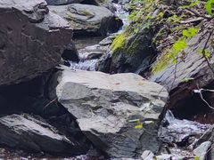 -双龙峡