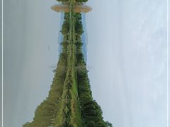 -洨河生态公园