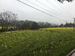 -韶山毛泽东同志故居