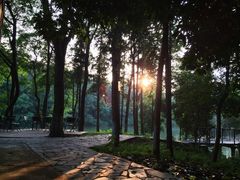 象山(1)-象山森林公园