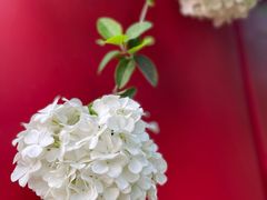 -大龙山(地铁站)