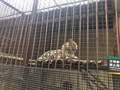 -昆明动物园