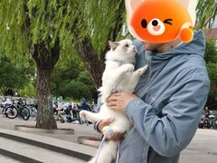 -上海交通大学闵行校区-包玉刚图书馆