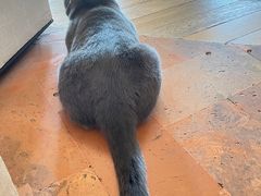 -Me Coffee下午茶艺术空间