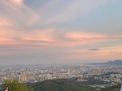 -长虫山生态公园风景林
