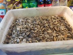 -陈记生蚝烧烤炒菜火锅