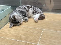 -7分甜(苏州中心店)