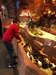 -Zoolung Zoolung动物主题公园(海信广场店)