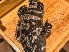 -ONE FULL 古董港式海鲜火锅