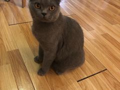 -壹人壹像工作室(购物公园店)