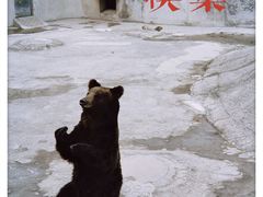 -天津市动物园