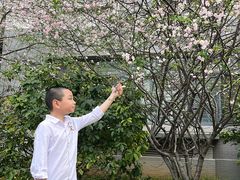 -武汉大学-樱园