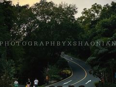 -深圳仙湖植物园