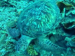 -海盗餐厅