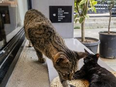 -转山咖啡(松柏社区店)