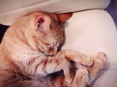 -JOJO实景沉浸侦探剧本杀(大悦城店)
