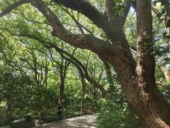 -吴山景区