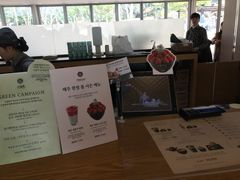 -雪绿茶博物馆