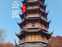 -红梅公园