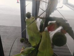 -雅致·永乐汇