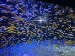 -成都浩海立方海洋公园