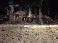 -清迈夜间动物园