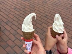 -富豪雪糕车流动点(尖沙咀)