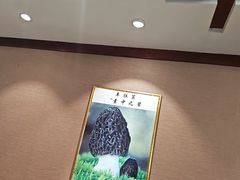 -菌之家·专业纯野生菌火锅·特色炒菌