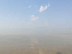 -呈贡滇池生态湿地公园