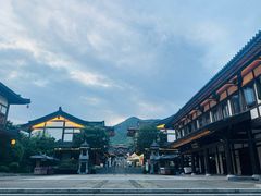 -大唐贡茶院