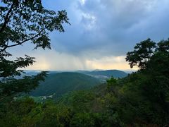 -惠山国家森林公园