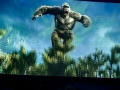 -枫花园汽车电影院(朝阳公园店)