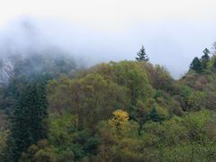 -叠溪松坪沟景区