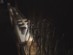 -毛辣果·酸